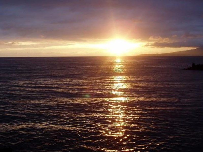 صورة الفندق 15