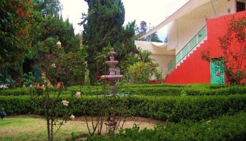 صورة الفندق 13