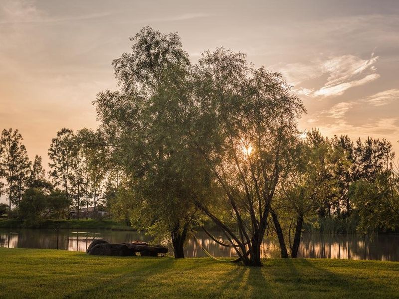 صورة الفندق 19