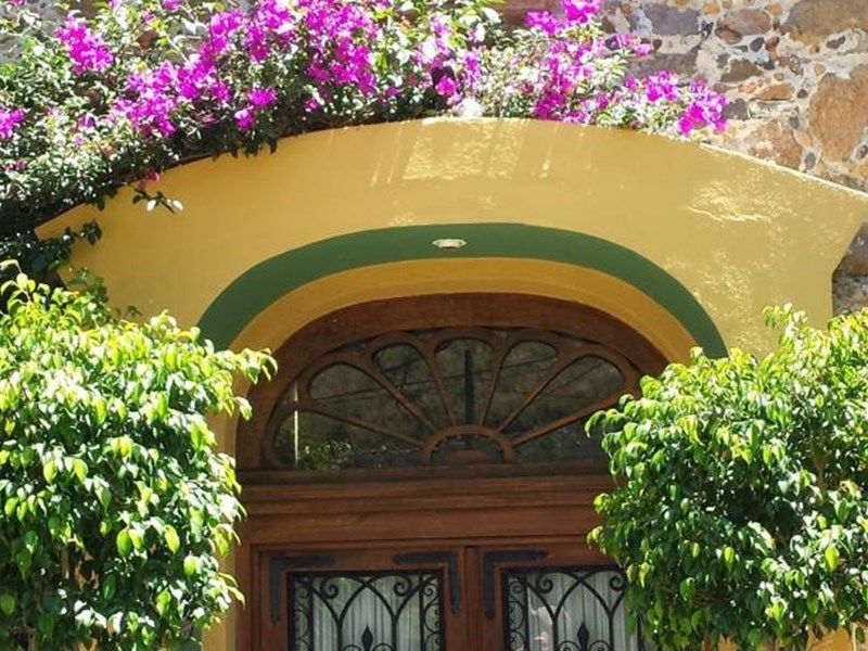 صورة الفندق 1