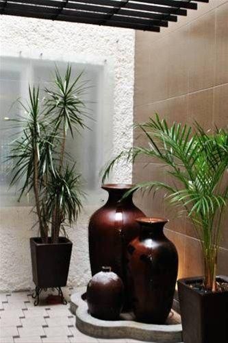 صورة الفندق 8