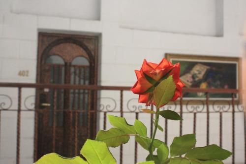 صورة الفندق 19