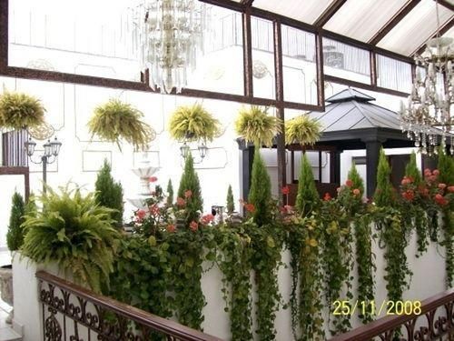 صورة الفندق 21