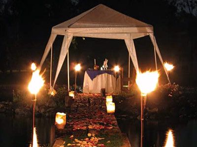 صورة الفندق 24