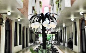 صورة الفندق 8