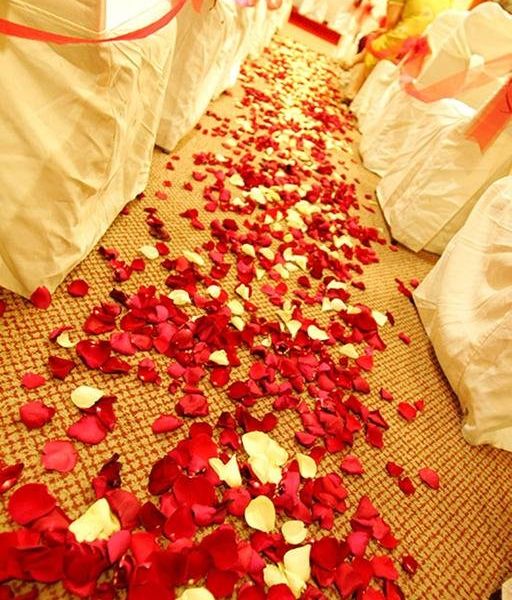 صورة الفندق 19