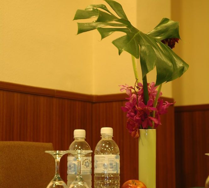 صورة الفندق 16