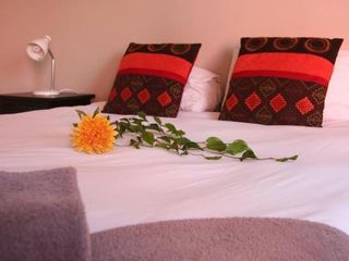 Hotel pic Dunedin Star Guesthouse
