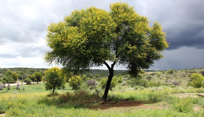 صورة الفندق 18