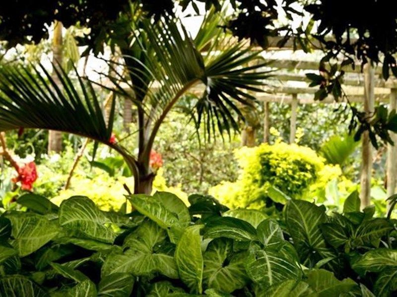 صورة الفندق 21