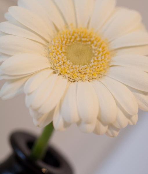 صورة الفندق 18