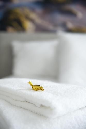 صورة الفندق 3