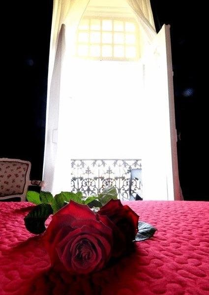 صورة الفندق 21
