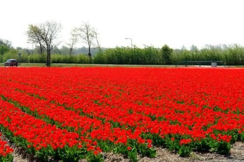 صورة الفندق 19