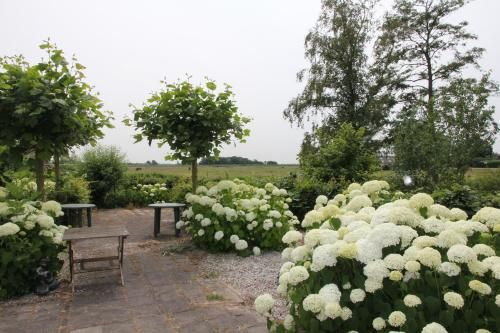 صورة الفندق 18