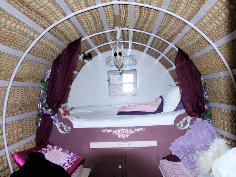 صورة الفندق 16