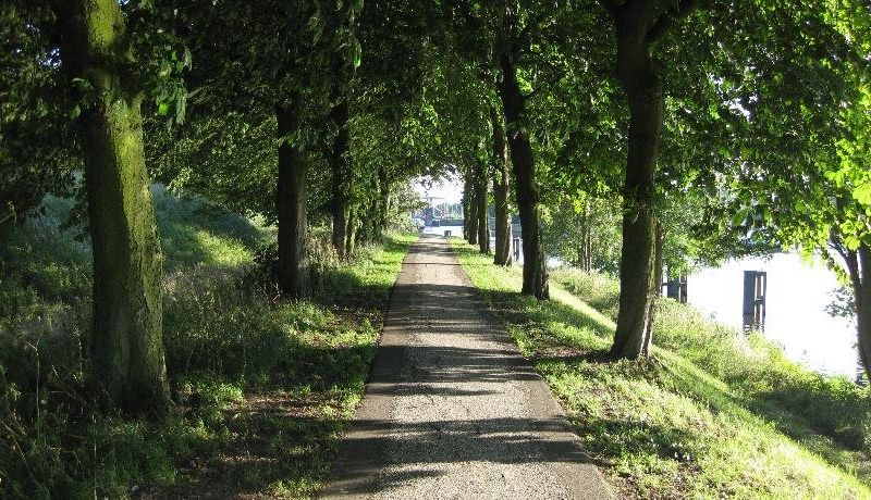 صورة الفندق 20