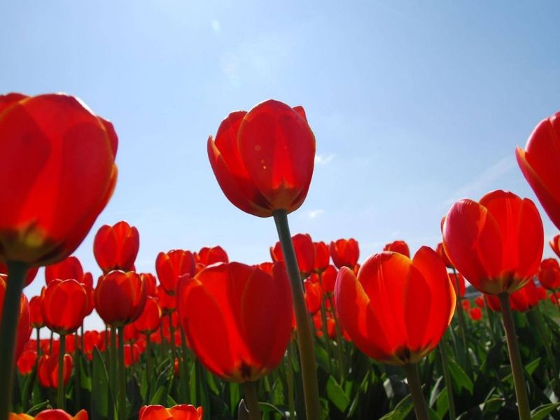 صورة الفندق 22