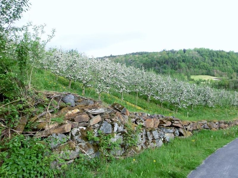 صورة الفندق 14