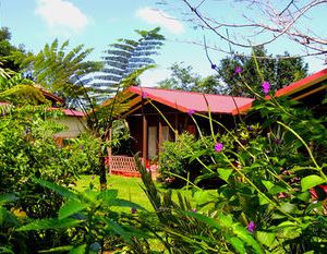 Hotel Faro Arenal La Fortuna Costa Rica