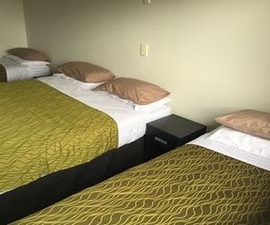 Tiki Lodge Backpackers Taupo New Zealand