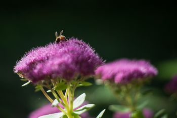 صورة الفندق 17