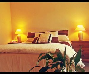 Kea Apartments Nelson New Zealand