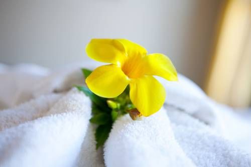 صورة الفندق 13