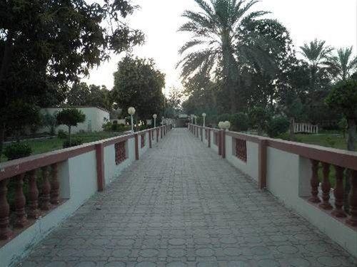 صورة الفندق 19