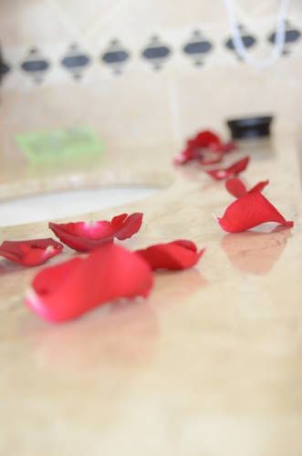 صورة الفندق 14