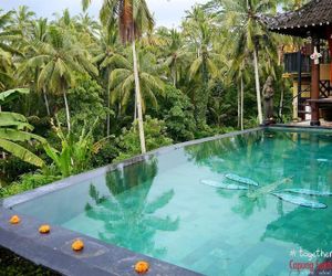 Capung Sakti Villas Tegallalang Indonesia