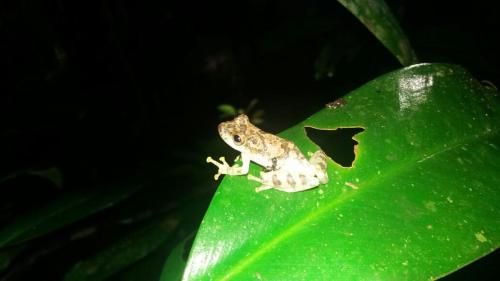 صورة الفندق 12