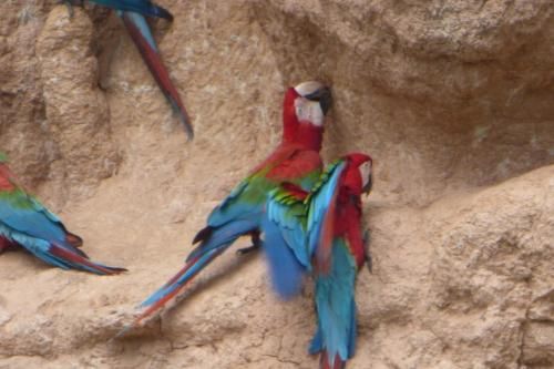 صورة الفندق 15