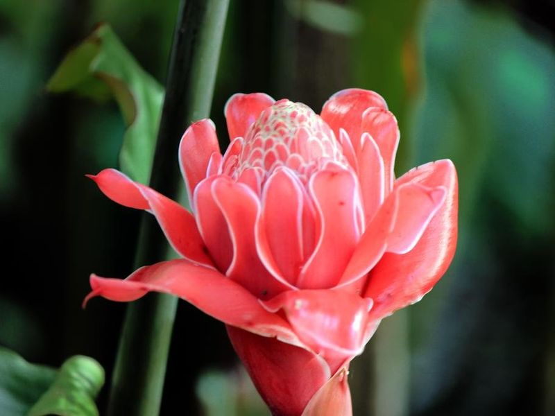 صورة الفندق 17