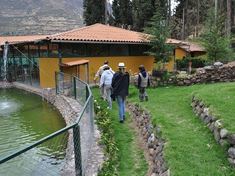 صورة الفندق 16