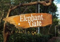Отзывы Elephant Gate Eco Hotel
