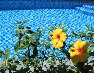 Magnolia Garden Villa Hoi An Vietnam