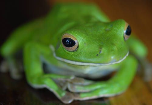 صورة الفندق 15