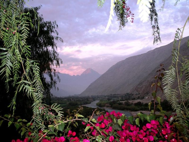 صورة الفندق 18