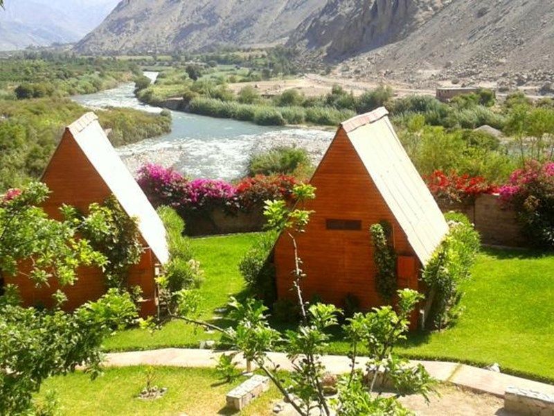 صورة الفندق 21