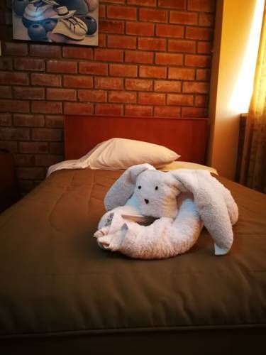 Hotel Photo 11