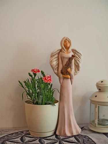 صورة الفندق 15