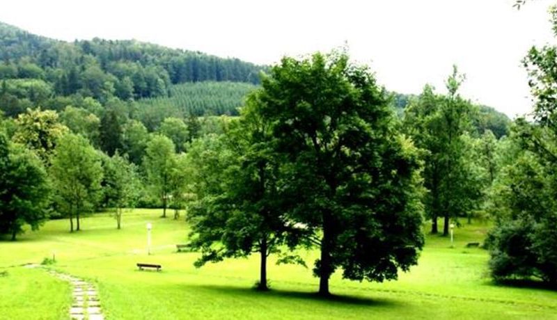 صورة الفندق 15
