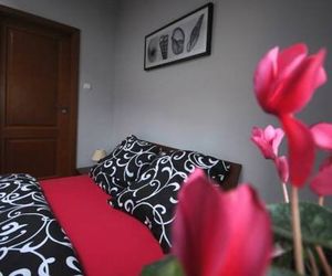 APARTAMENTY ANIELSKIE Torun Poland