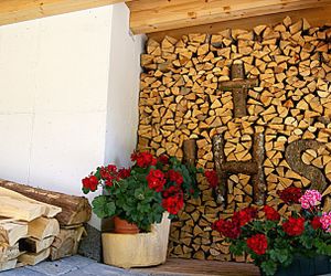 Frei-Nagele Alpbach Austria