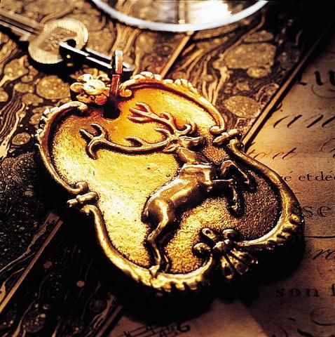 صورة الفندق 14