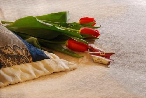 صورة الفندق 6