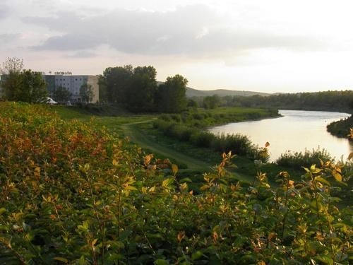 صورة الفندق 19