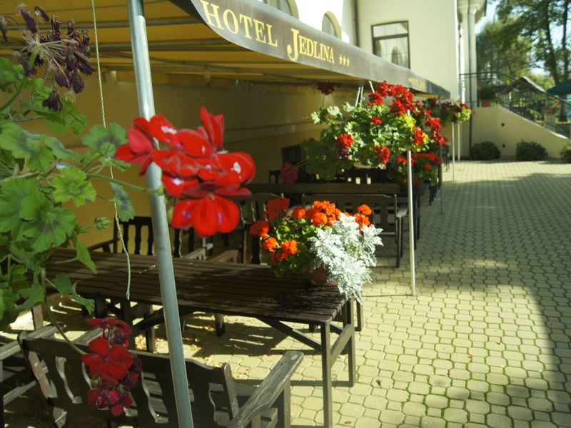 Hotel Photo 15