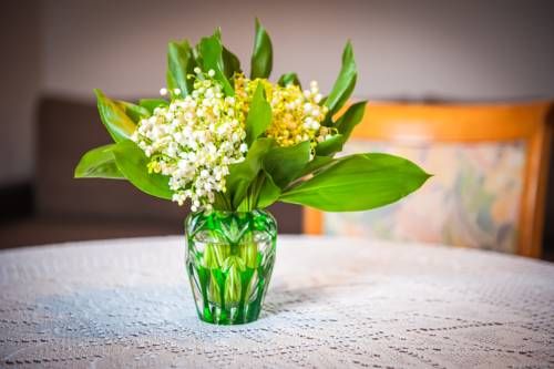 صورة الفندق 15